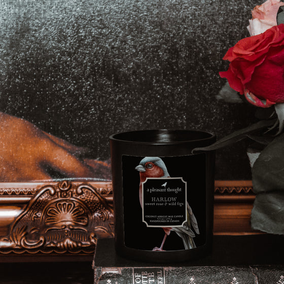 sweet rose wild figs harlow black coconut apricot wax candle in a matte black glass vessel with a wooden wick a pleasant thought decor