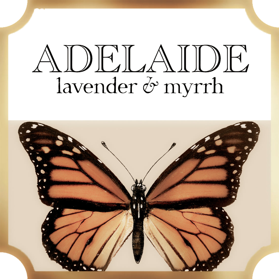  Adelaide | Lavender & Myrrh | Collection