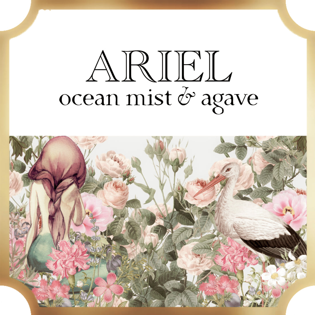  ariel collection a pleasant thought