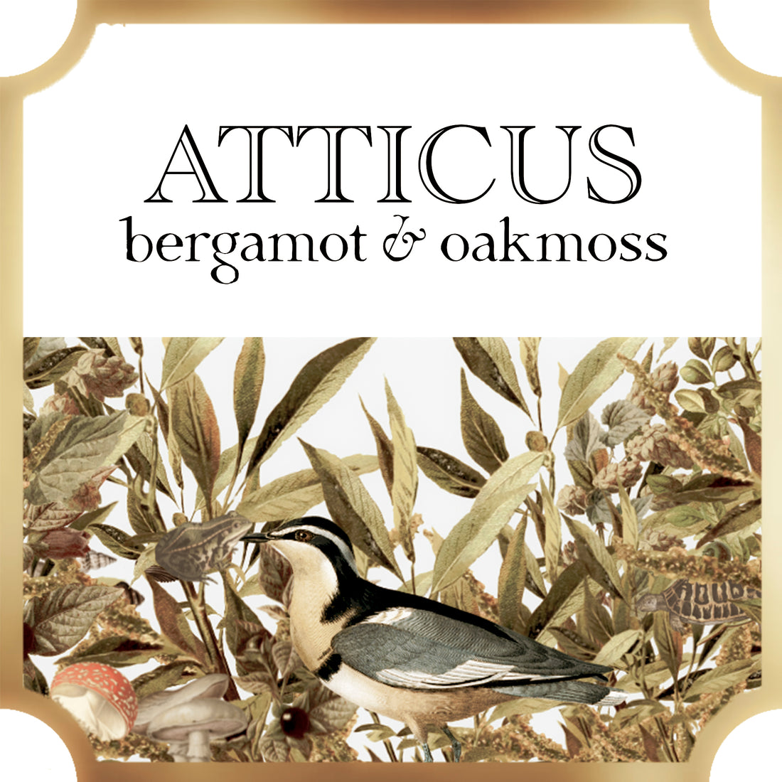  atticus bath and body a pleasant thought