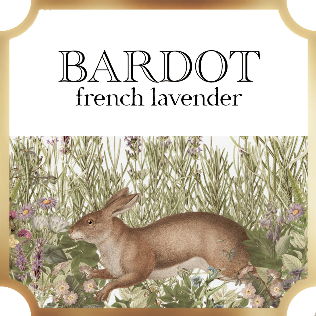  bardot collection a pleasant thought