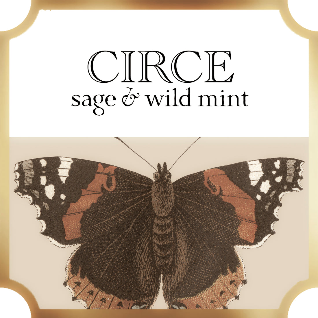  circe home fragrance a pleasant thought