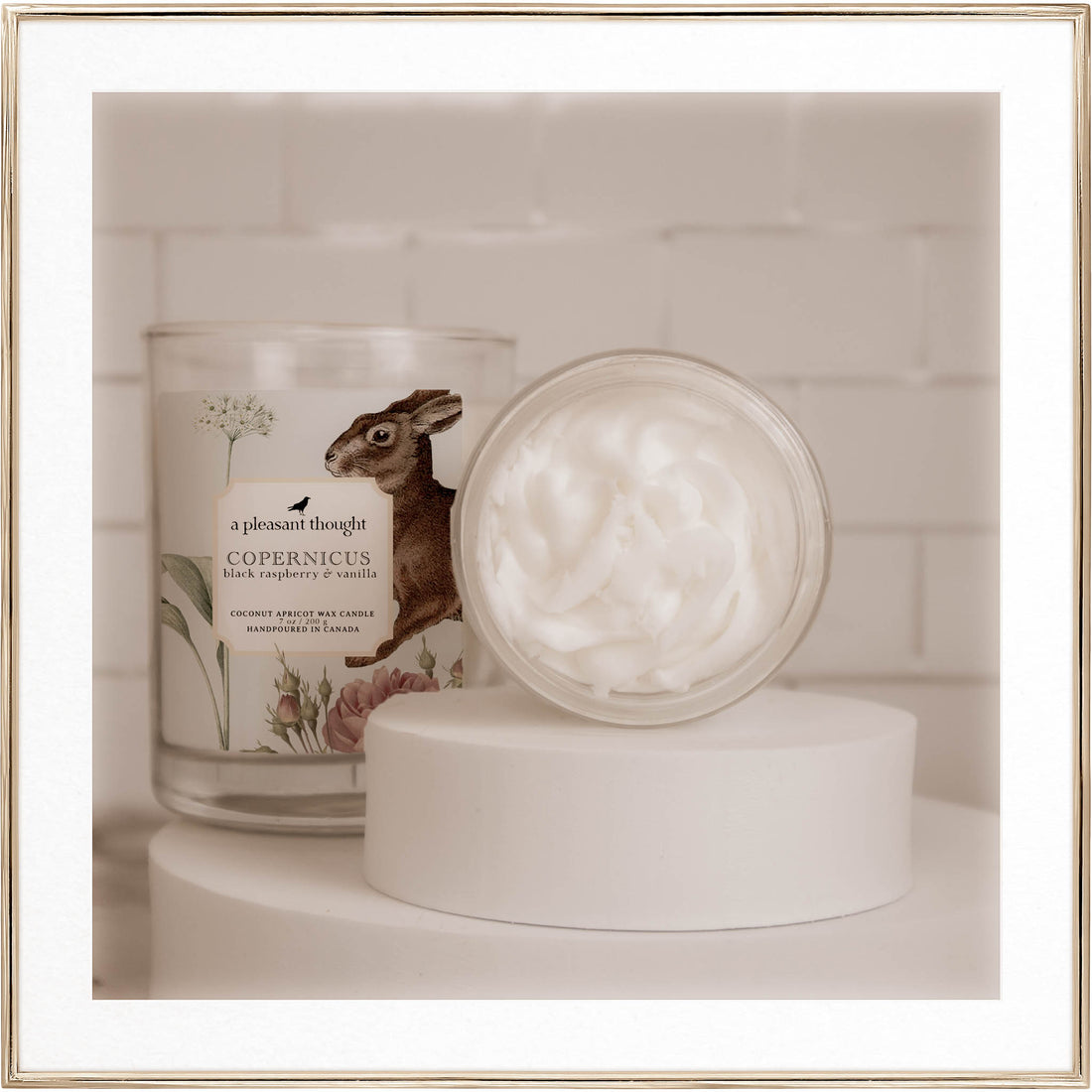  copernicus home fragrance a pleasant thought