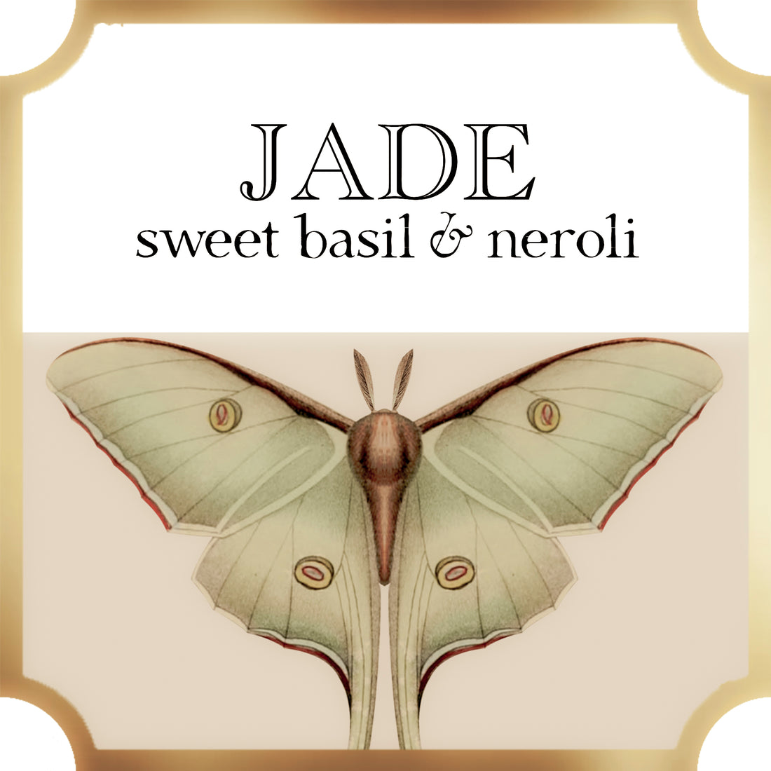  Jade | Sweet Basil & Neroli | Collection