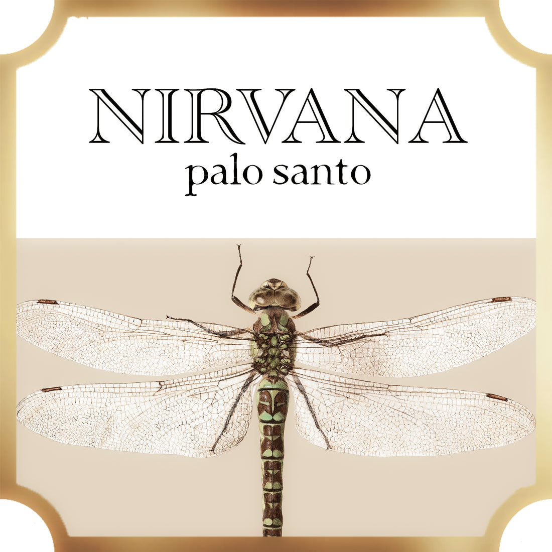  Nirvana | Palo Santo | Collection