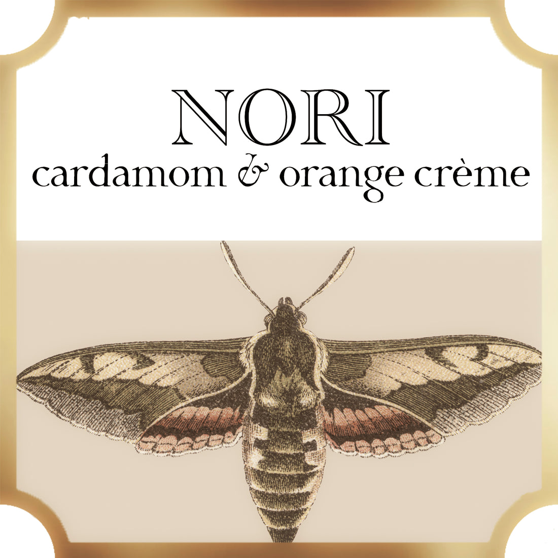  nori collection a pleasant thought