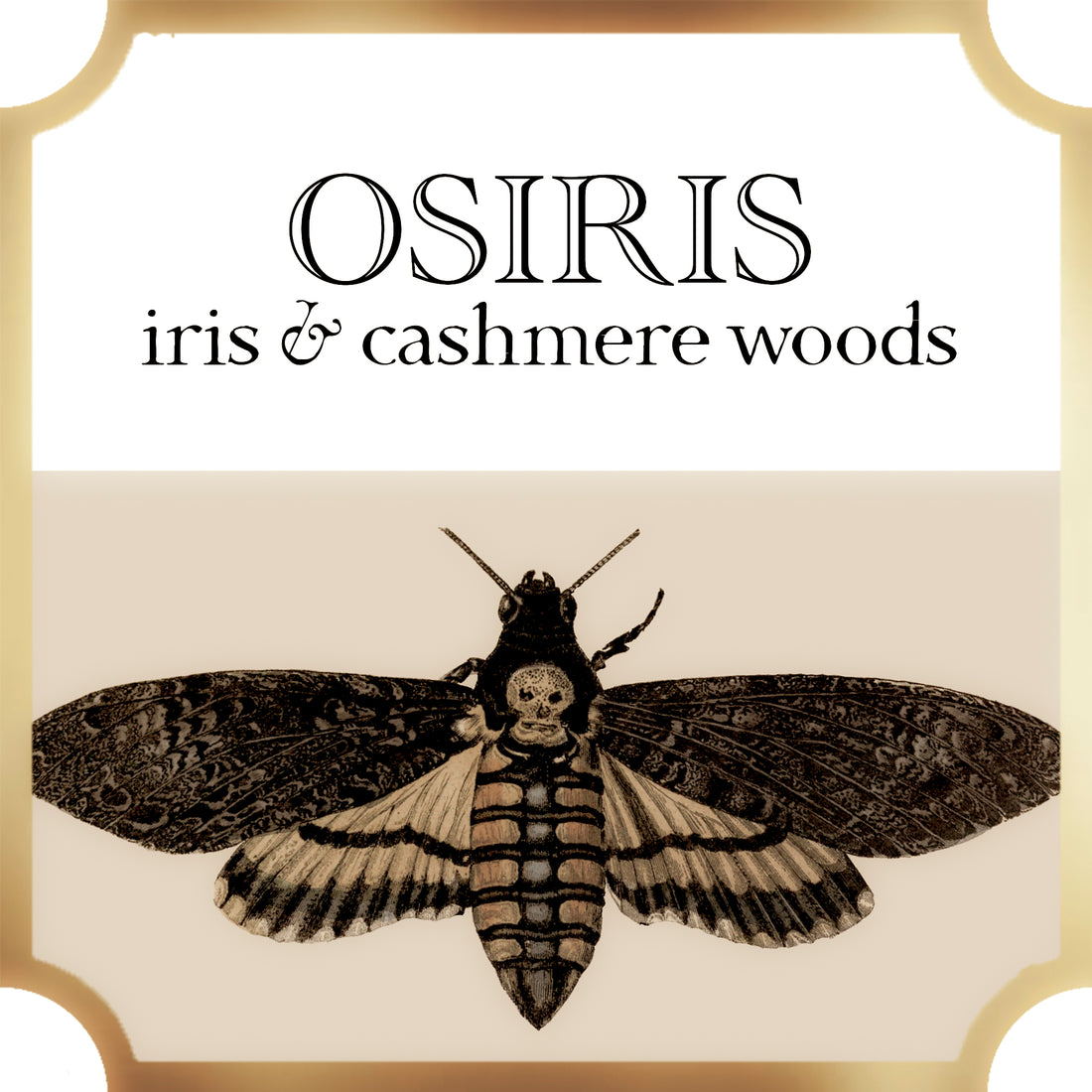  Osiris | Iris & Cashmere Woods | Collection