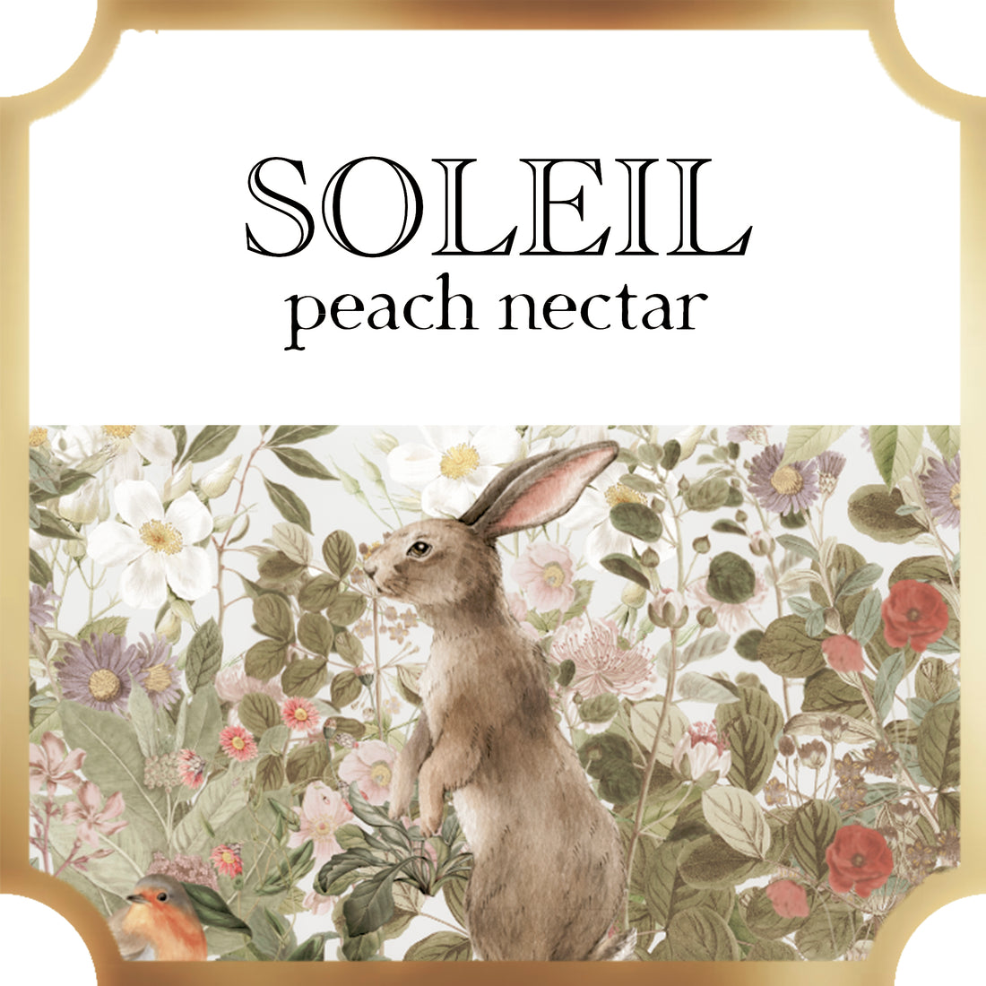  Soleil | Peach Nectar | Collection
