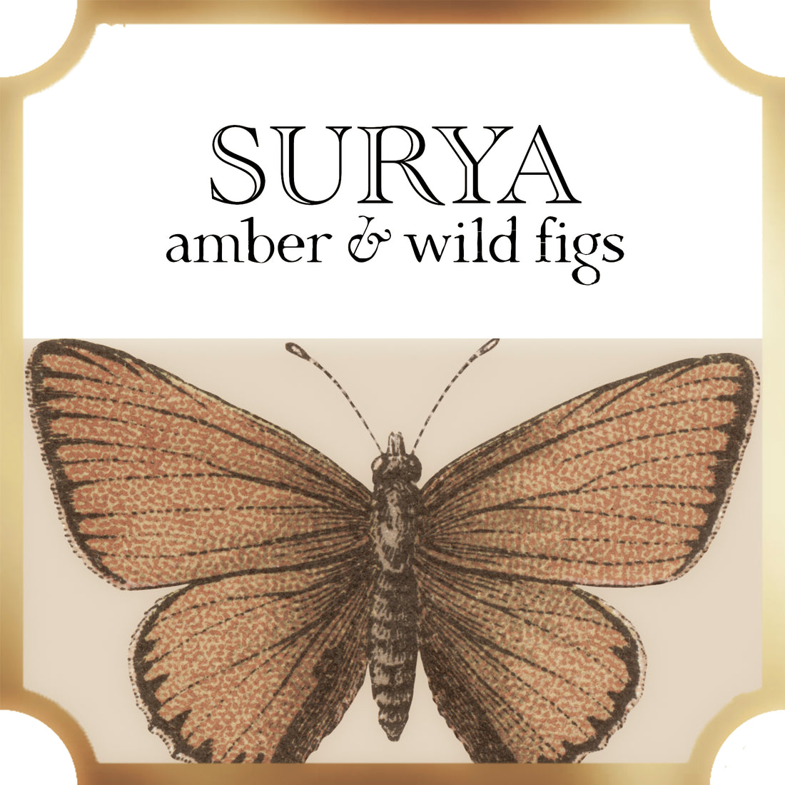  surya home fragrance a pleasant thought