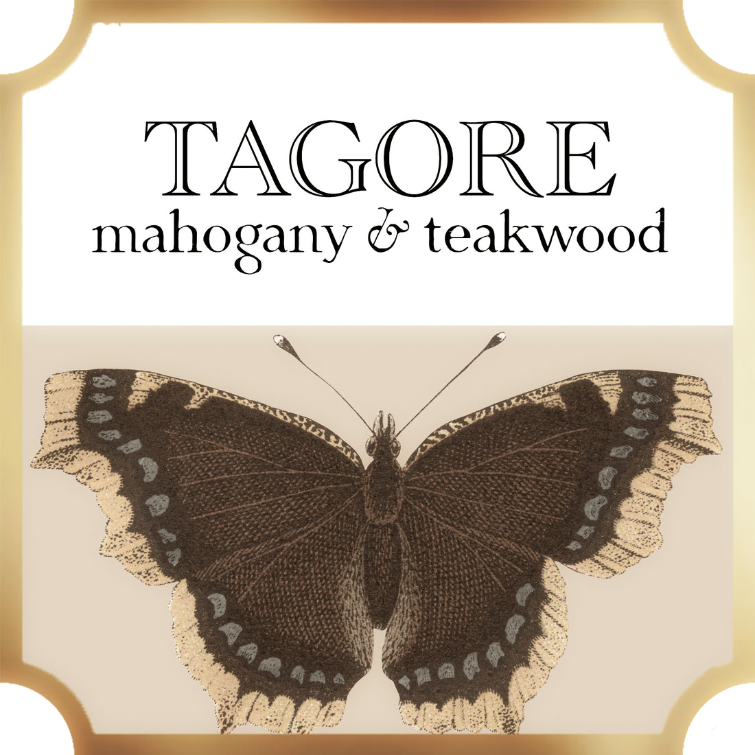  Tagore | Mahogany & Teakwood | Collection