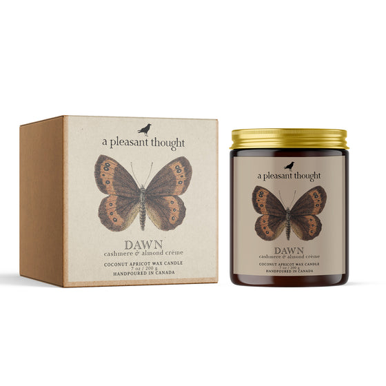 Dawn | Cashmere & Almond Crème | Jar Candle