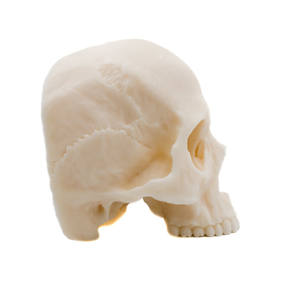 Human Half Skull Candle | Pillar