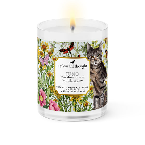 Juno | Marshmallow & Vanilla Crème | Candle