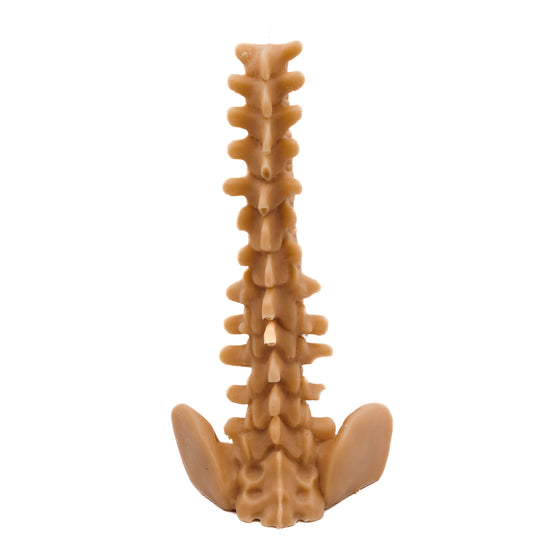 Lower Spine Candle | Pillar