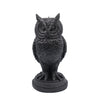 Night Owl Candle | Pillar