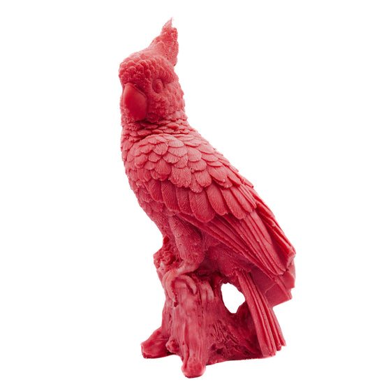 Parrot Candle | Pillar