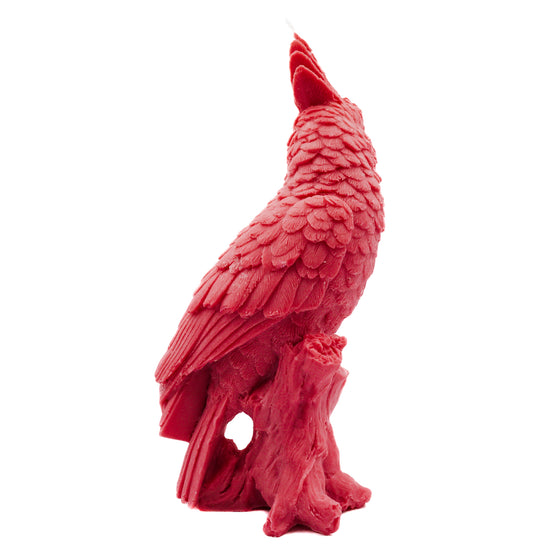 Parrot Candle | Pillar