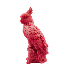  Parrot Candle | Pillar