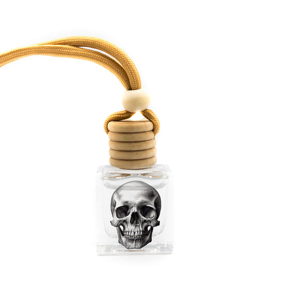 Skull  Car Diffuser – A Pleasant Thought