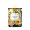 Winifred | Pumpkin & Vanilla Crème | Candle