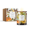 Winifred | Pumpkin & Vanilla Crème | Candle