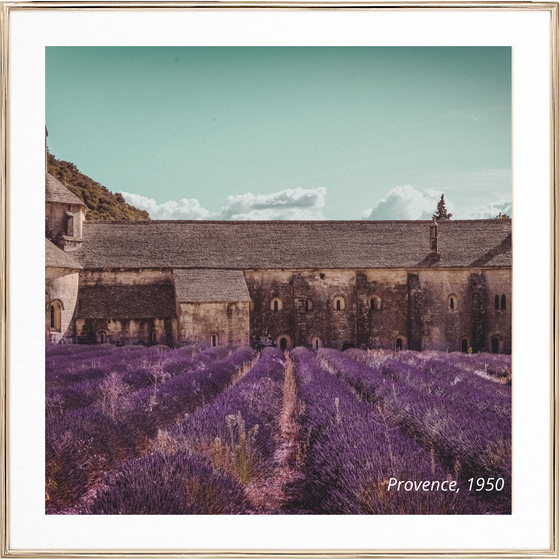 provence lavender fields inspiration for bardot french lavender coconut apricot wax melt
