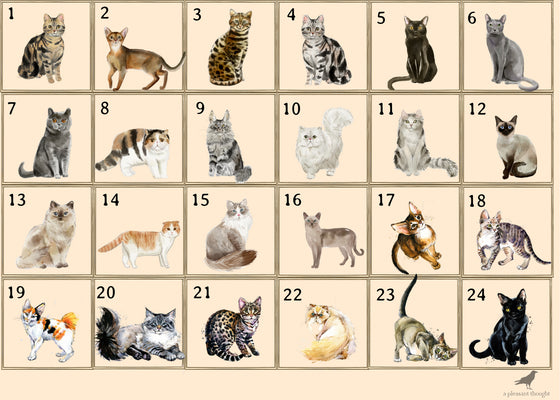 custom pets candle cat breeds one
