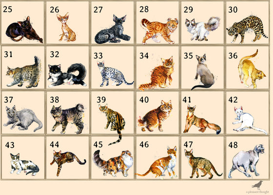 custom pets candle cat breeds two