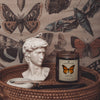 lavender and myrrh adelaide coconut apricot wax amber candle a pleasant thought displayed