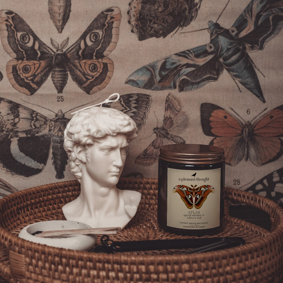 spiced whiskey and tobacco oud atlas  coconut apricot wax amber candle a pleasant thought displayed