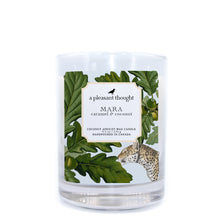  mara caramel and coconut coconut apricot wax candle in a clear glass vessel with a wooden wick a pleasant thought