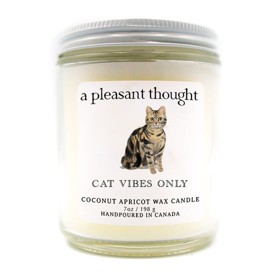 custom cat candle cat vibes only