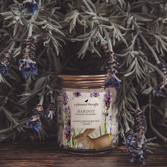 bardot french lavender Scoopable coconut apricot wax melt whipped into a clear glass jar with a gold lid and spoon notes