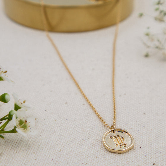 astrology zodiac sign pendant with dainty gold-filled cable chain necklace virgo
