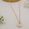 astrology zodiac sign pendant with dainty gold-filled cable chain necklace capricorn