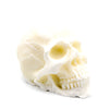 ivory skull pillar candle handcrafted 
