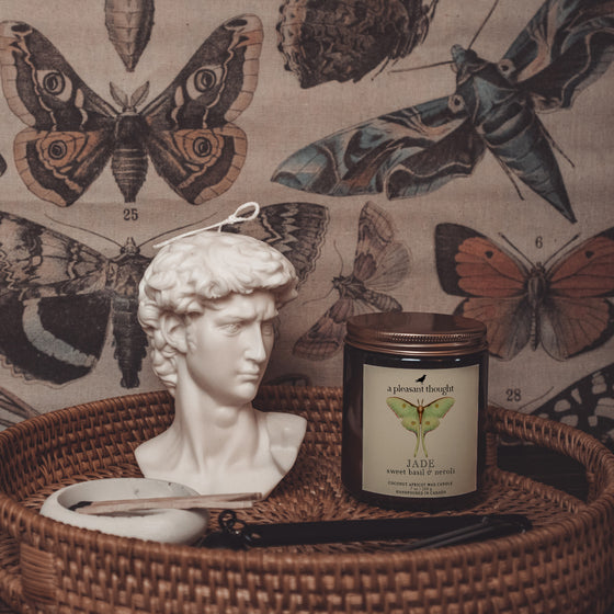 sweet basil and neroli jade coconut apricot wax amber candle a pleasant thought displayed