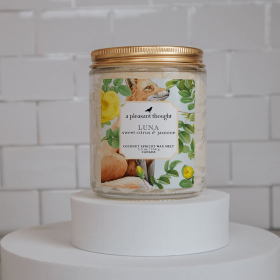 luna sweet citrus and jasmine Scoopable coconut apricot wax melt whipped into a clear glass jar with a gold lid and spoon