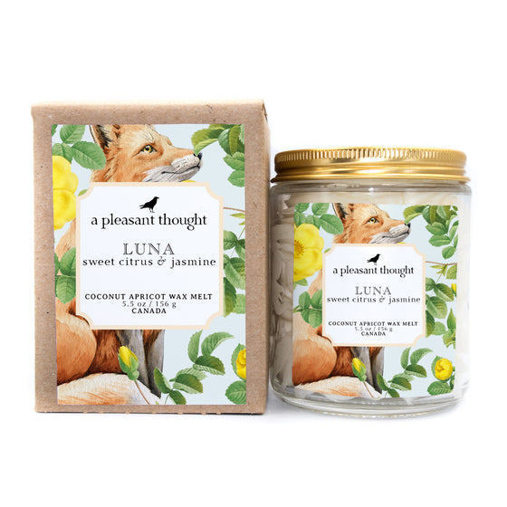 luna sweet citrus and jasmine Scoopable coconut apricot wax melt whipped into a clear glass jar with a gold lid and spoon box