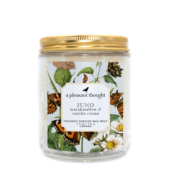 Juno | Marshmallow & Vanilla Crème | Wax Melt