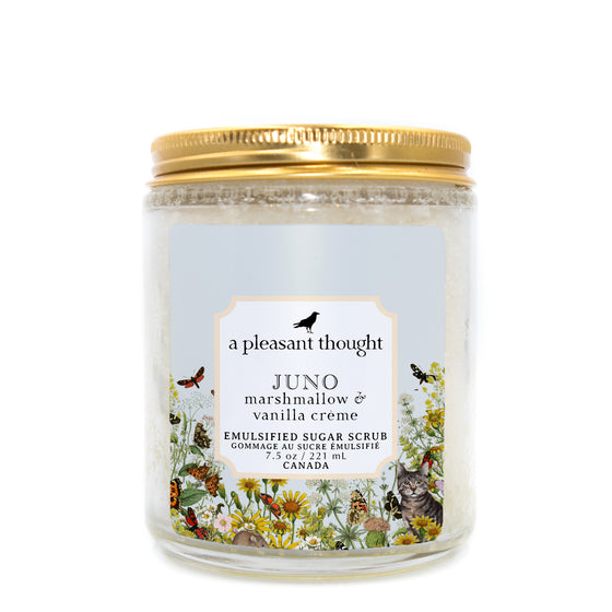 Juno | Marshmallow & Vanilla Crème | Emulsified Sugar Scrub