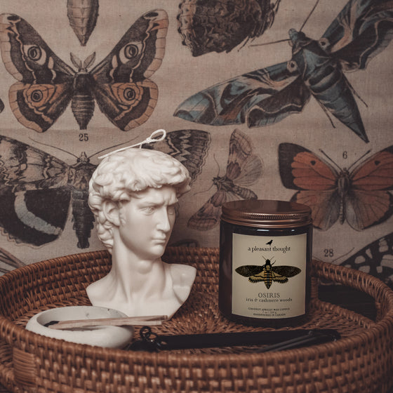 iris and cashmere woods osiris coconut apricot amber candle a pleasant thought in use