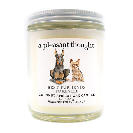 custom dog candle best furriends forever