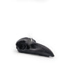 Raven Skull Candle A Pleasant Thought