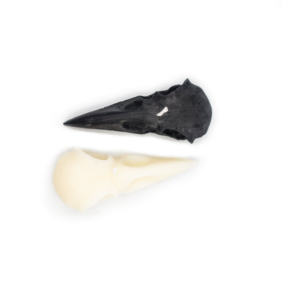 Raven Skull Candle A Pleasant Thought black and white