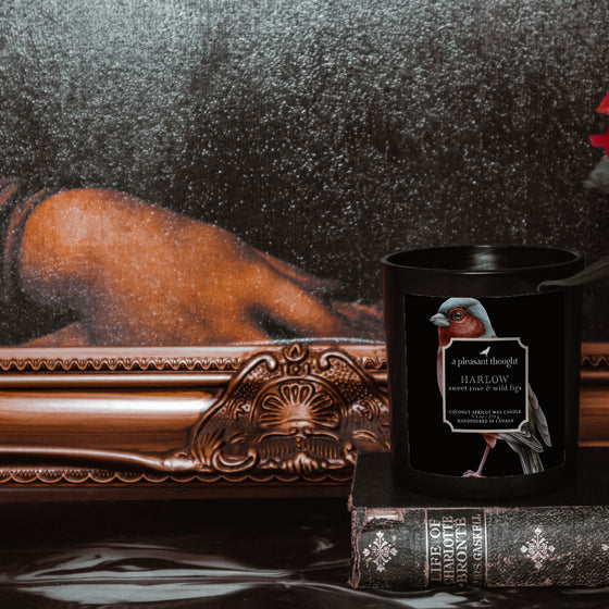 sweet rose wild figs harlow black coconut apricot wax candle in a matte black glass vessel with a wooden wick a pleasant thought displayed