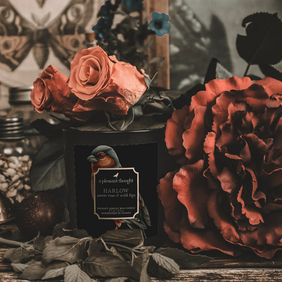 sweet rose wild figs harlow black coconut apricot wax candle in a matte black glass vessel with a wooden wick a pleasant thought fragrance ingredients