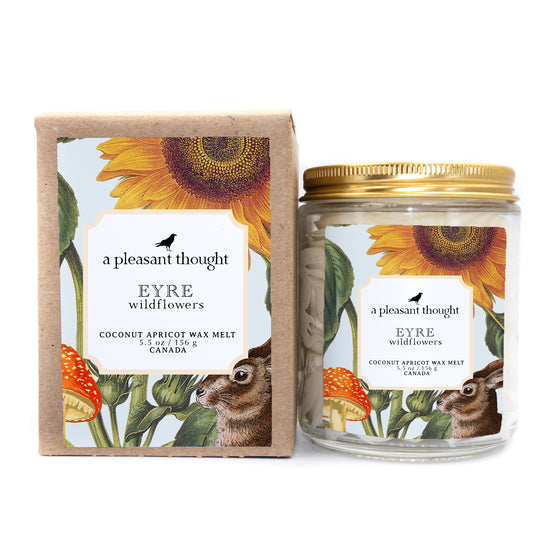 eyre wildflowers Scoopable coconut apricot wax melt whipped into a clear glass jar with a gold lid and spoon box