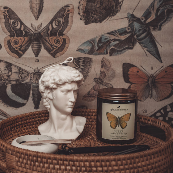 surya amber and wild figs coconut apricot wax candle in an amber glass jar with a wooden wick and lid  butterfly candle display