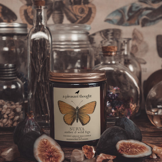 surya amber and wild figs coconut apricot wax candle in an amber glass jar with a wooden wick and lid  butterfly candle note